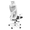 Fotel obrotowy do biurka ergonomiczny Spacetronik ELSA