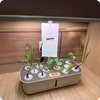 Inteligentna doniczka SMART GARDEN beżowa z systemem nawadniania Spacetronik SPGC10