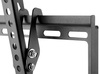Goobay BASIC TILT M TV-Halterung 32"-55" bis zu 35kg