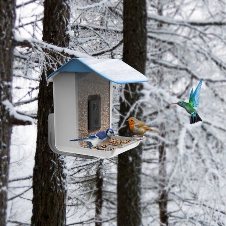 Vogelfutterautomat mit WiFi-Kamera App SP-BF02