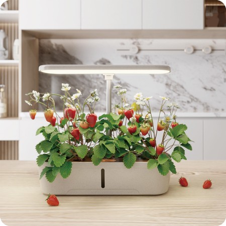 Blumentopf mit LCD-Anzeige SPGC10B