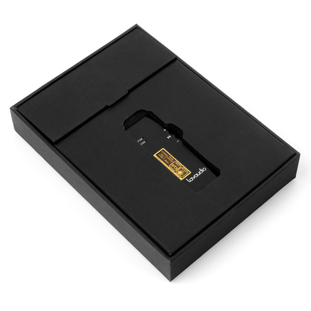 DS100 Mobiler Audioverstärker USB-C / Beleuchtung