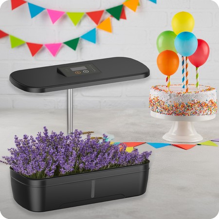 Blumentopf mit LCD-Anzeige SPGC10B