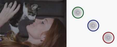 Maxkin Conch-D Alarm mit DWS-303 Melder