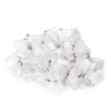 Wtyk sieciowy RJ45 CAT 6 UTP NC-RJ456UT-11 100szt