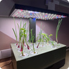 Inteligentna doniczka 10l SMART Garden biało - szara z ekranem LCD na ulubione rośliny przez cały rok Spacetronik SPGC20