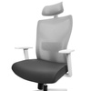 Fotel obrotowy do biurka ergonomiczny Spacetronik ELSA