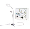 LED-Kosmetiklampe rund 9 cm Clip und Griff