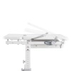 Regulowane biurko dla dziecka Spacetronik XD SPE-X102W 80x60 cm OUTLET